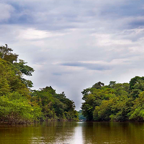 AMAZONAS 17 rio mosaico galeria_MG_2455_.jpg